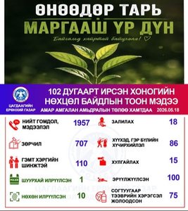Хоногийн нөхцөл байдлын тоон мэдээ